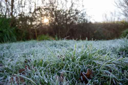 Rasen wetterfest machen und gegen Staunässe, Frost und Trockenheit schützen